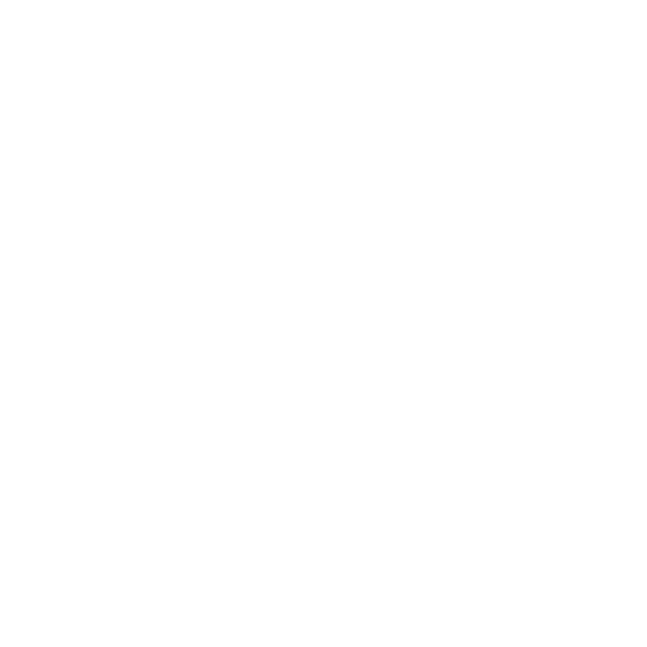 logotipo problindex